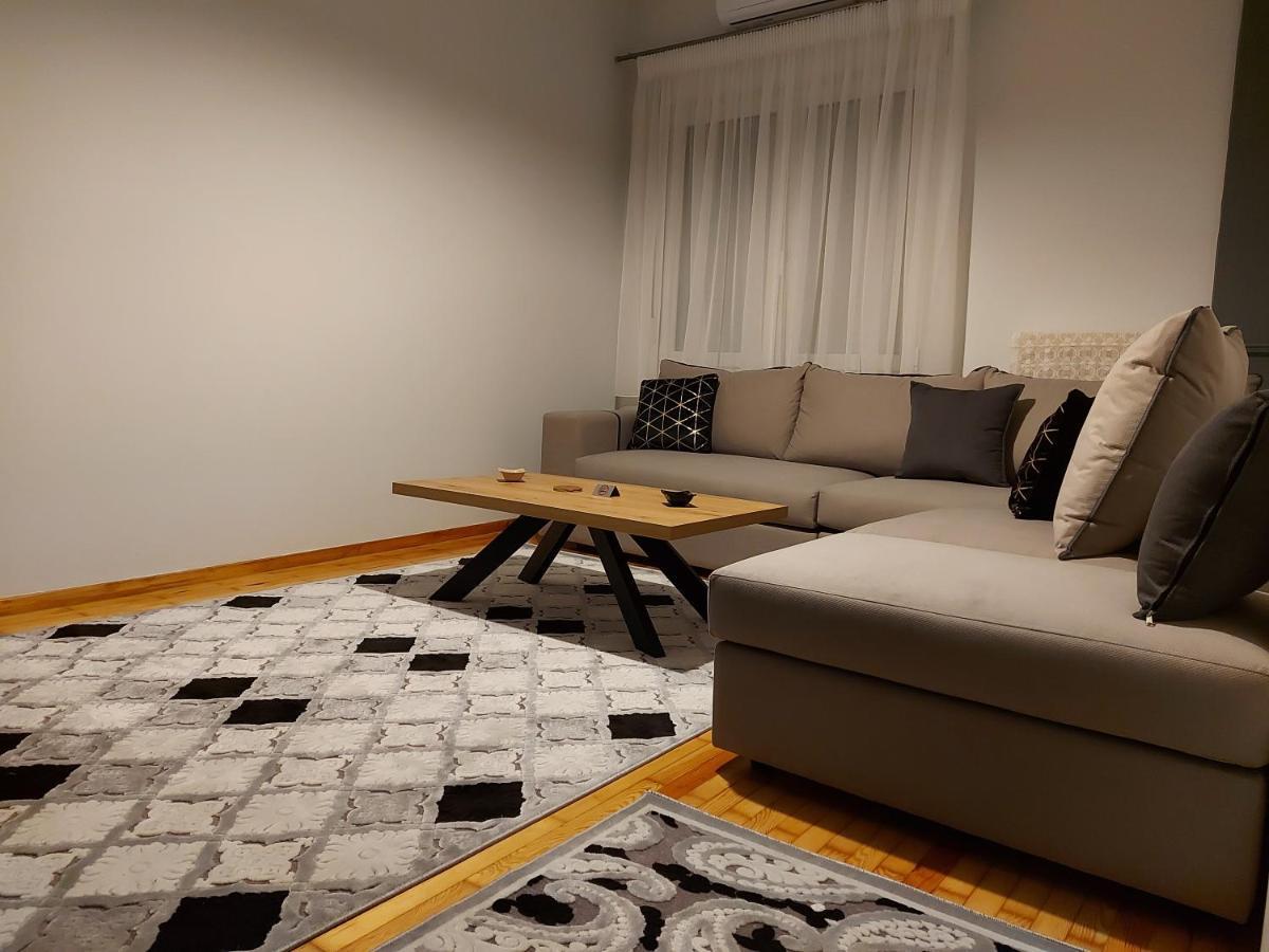 Vasilikis Luxury Loft Apartment Ioannina Exterior photo